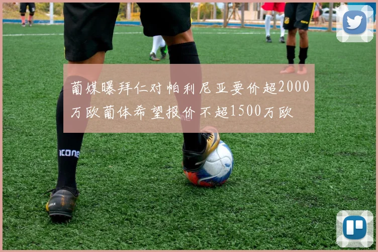 葡媒曝拜仁对帕利尼亚要价超2000万欧葡体希望报价不超1500万欧