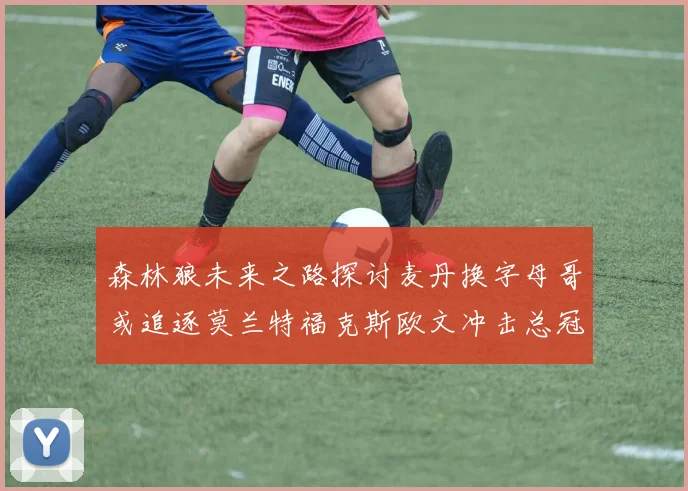 森林狼未来之路探讨麦丹换字母哥或追逐莫兰特福克斯欧文冲击总冠军
