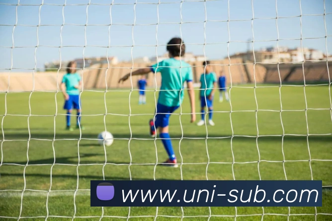 奖项证书